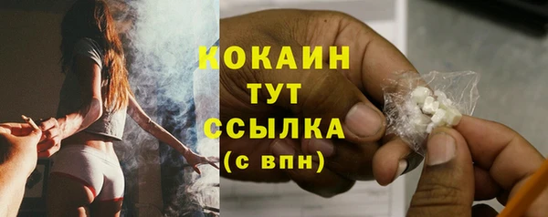гидра Касимов