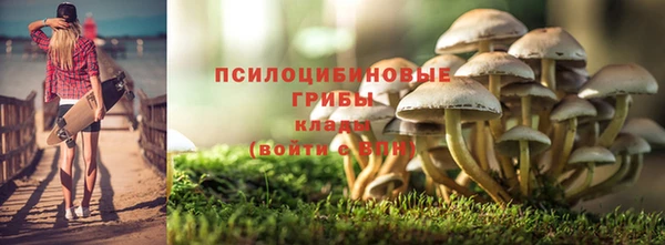ешки Карпинск
