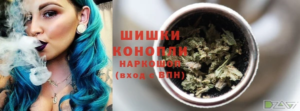 гидра Касимов